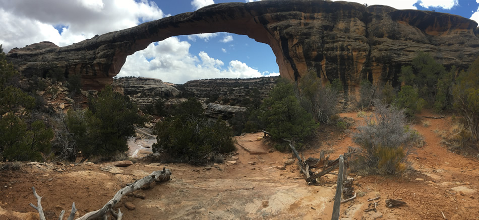 Natural Bridges National Monument